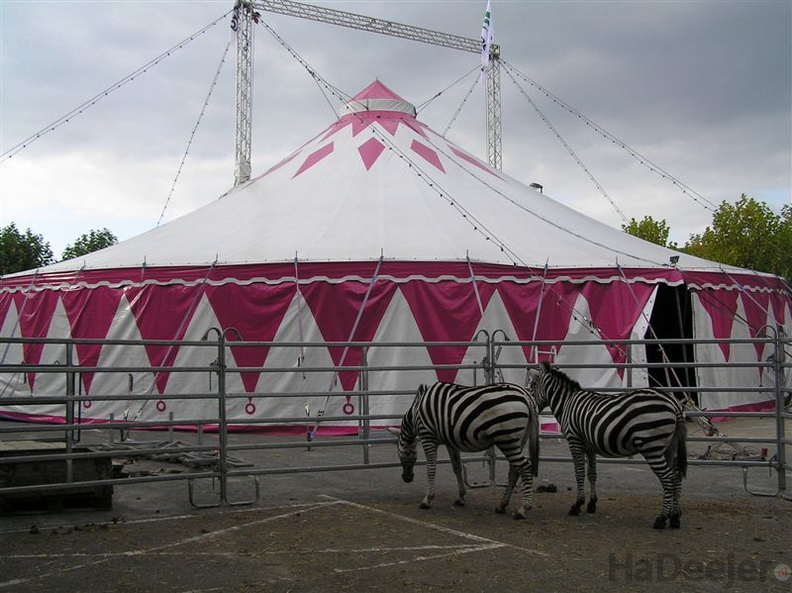 20071005-phe-circus-1.jpg
