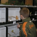 20071124-phe-vogeltentoonstelling 002